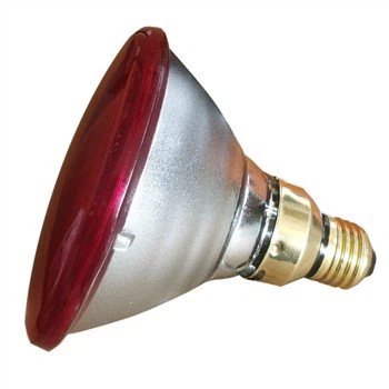 Red Heat Bulb fyrir kjúklinga