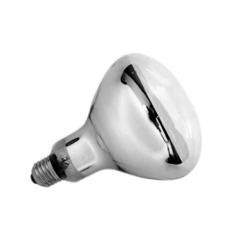 UVB pera fyrir skriðdýr