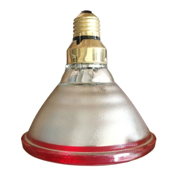 240v Heat Lamp